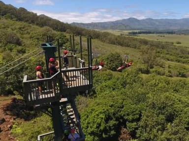 Kauai PowerLine Zipline Tour — photo 1