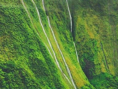 Kauai Shore Excursion: 55-minute Helicopter Adventure Flight — photo 4