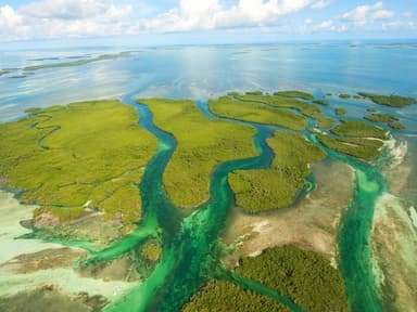 Key West Helicopter Tour: Ultimate Island Adventure — photo 2