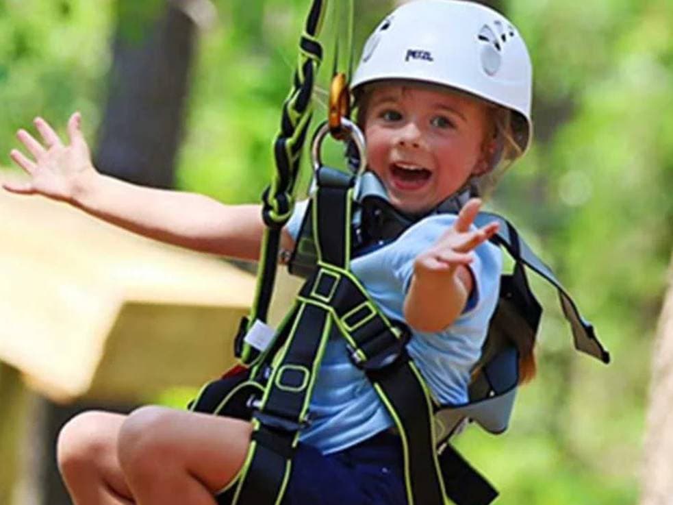 Kids Zip Koala Tours