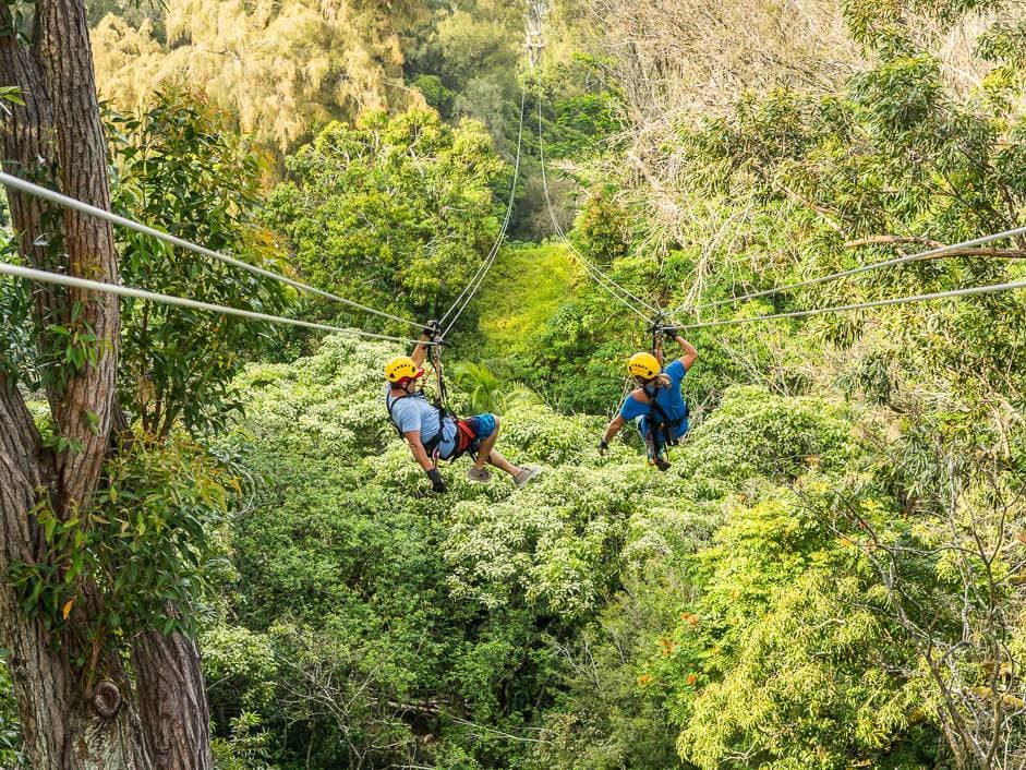 Kohala Canopy Adventure