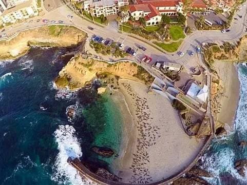 La Jolla Cove & Lake Hodges Tour