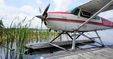 Lake Apopka & Disney World Seaplane Tour — photo 2