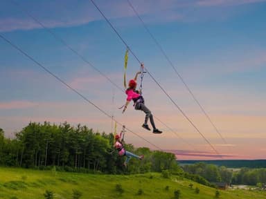 Lake Geneva 9-Line Full Zipline Tour — photo 1