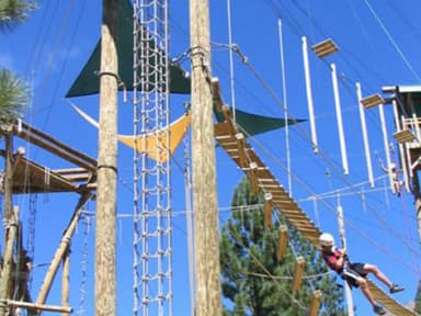 Lake Tahoe Olympic Valley Treetop — photo 1