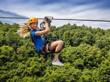 Lansing Gravity Zipline — photo 1