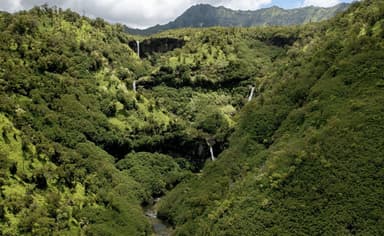 Lava Field and Rainforest Best Helicopter Ride in Big Island — photo 4