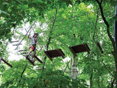 Ledgewood Adventure Course — photo 1