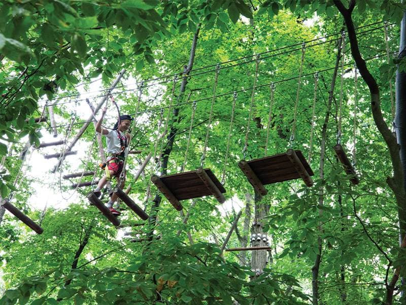 Ledgewood Adventure Course