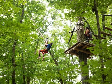 Ledgewood Adventure Zip Lines — photo 1