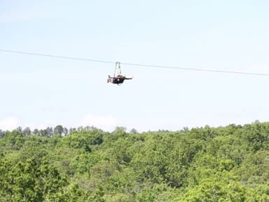 Level 3 Zip Line Canopy Tour — photo 1