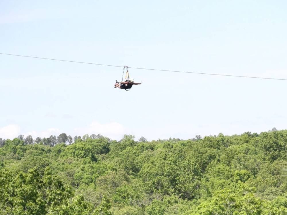 Level 3 Zip Line Canopy Tour