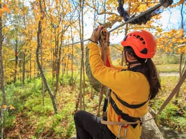 Lexington ZipLine Canopy Tour — photo 1