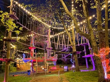 Long Island Glow in the Park — photo 1