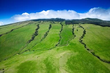 Luxury Picnic Big Island Kohala Helicopter Tour — photo 3