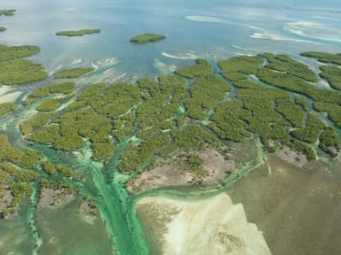 Marine Life Key West Helicopter Ride — photo 4