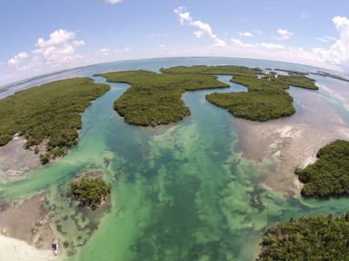 Marine Life Key West Helicopter Ride — photo 2
