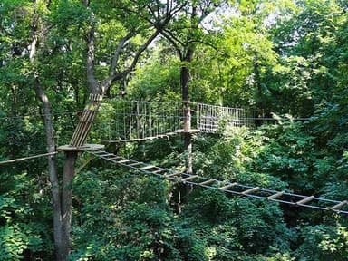 Maryland Heights Nights — photo 1