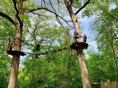 Maryland Heights Treetop Adventure — photo 1