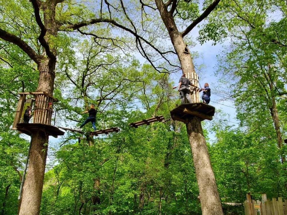 Maryland Heights Treetop Adventure