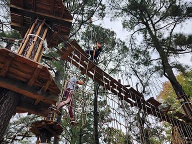 Memphis Treetop Adventure — photo 1