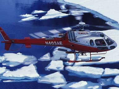 Mendenhall Glacier Helicopter Tour — photo 2