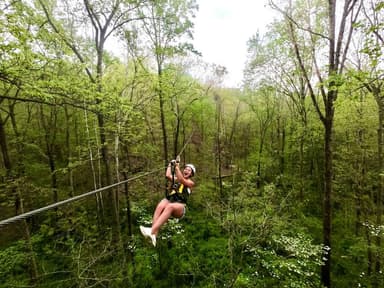 Middleburg Treetop Zip Tour — photo 1