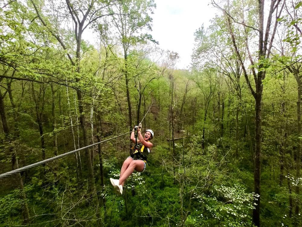 Middleburg Treetop Zip Tour