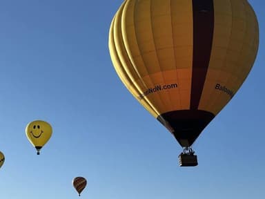 Midwest Balloon Rides - Homestead Flights — photo 2