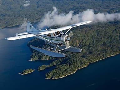 Misty Fjords Scenic Flight and Crab Feast From Ketchikan — photo 1