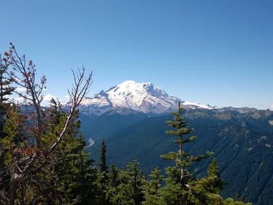 Mt Rainier Seaplane Tour Departing from Lake Washington — photo 1