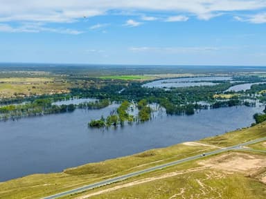 Murray River Scenic Tours — photo 1