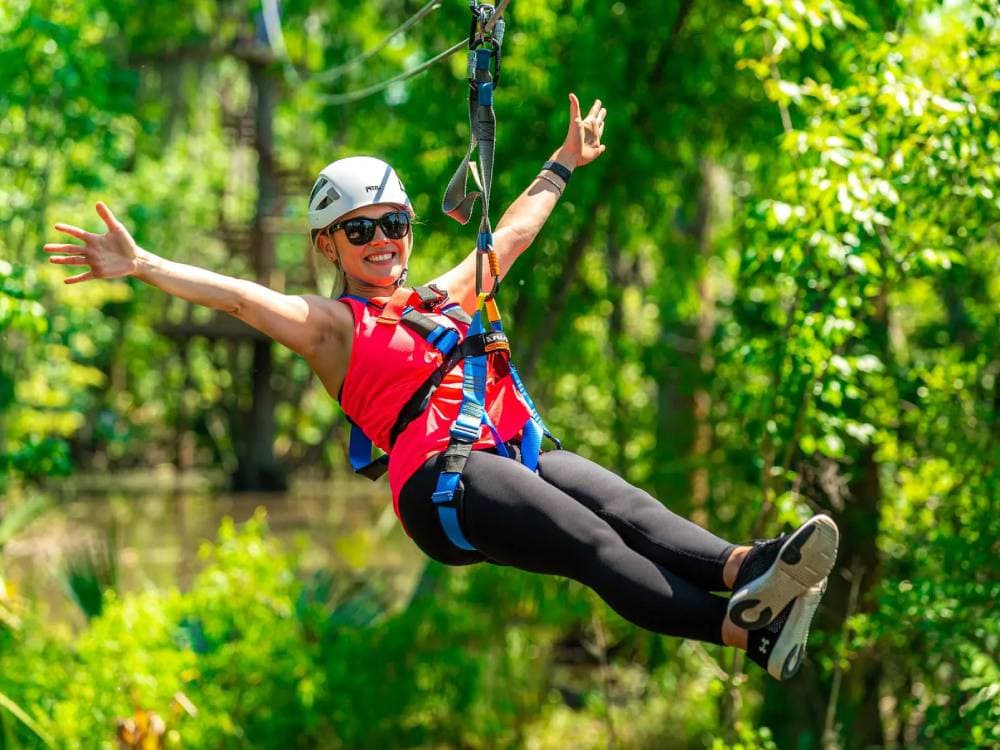 New Orleans Swamp Zipline Tour