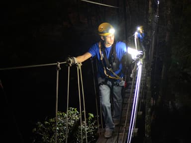NightQuest Treetop Excursion — photo 1