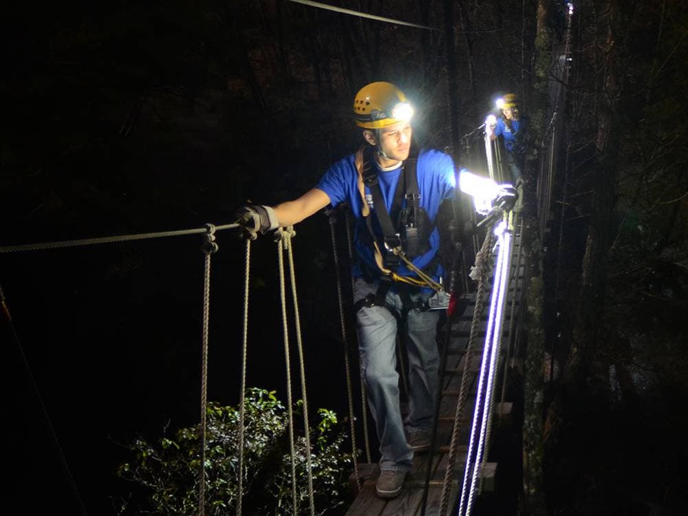 NightQuest Treetop Excursion
