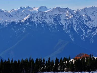 Olympic Mountains Seaplane Tour from Lake Washington — photo 1