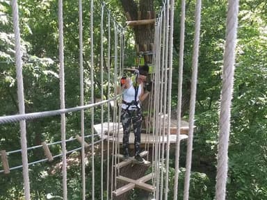 Omaha Treetop Discovery — photo 1