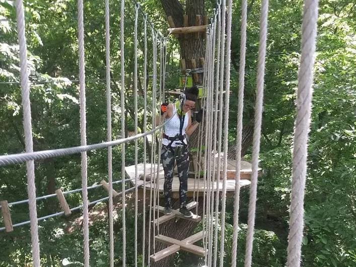 Omaha Treetop Discovery