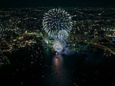 Orlando Kissimmee Fireworks Helicopter Tour — photo 1