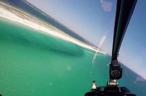 Pensacola Shark Hunt Helicopter Tour