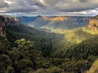Private Blue Mountains Eco Tour — photo 1