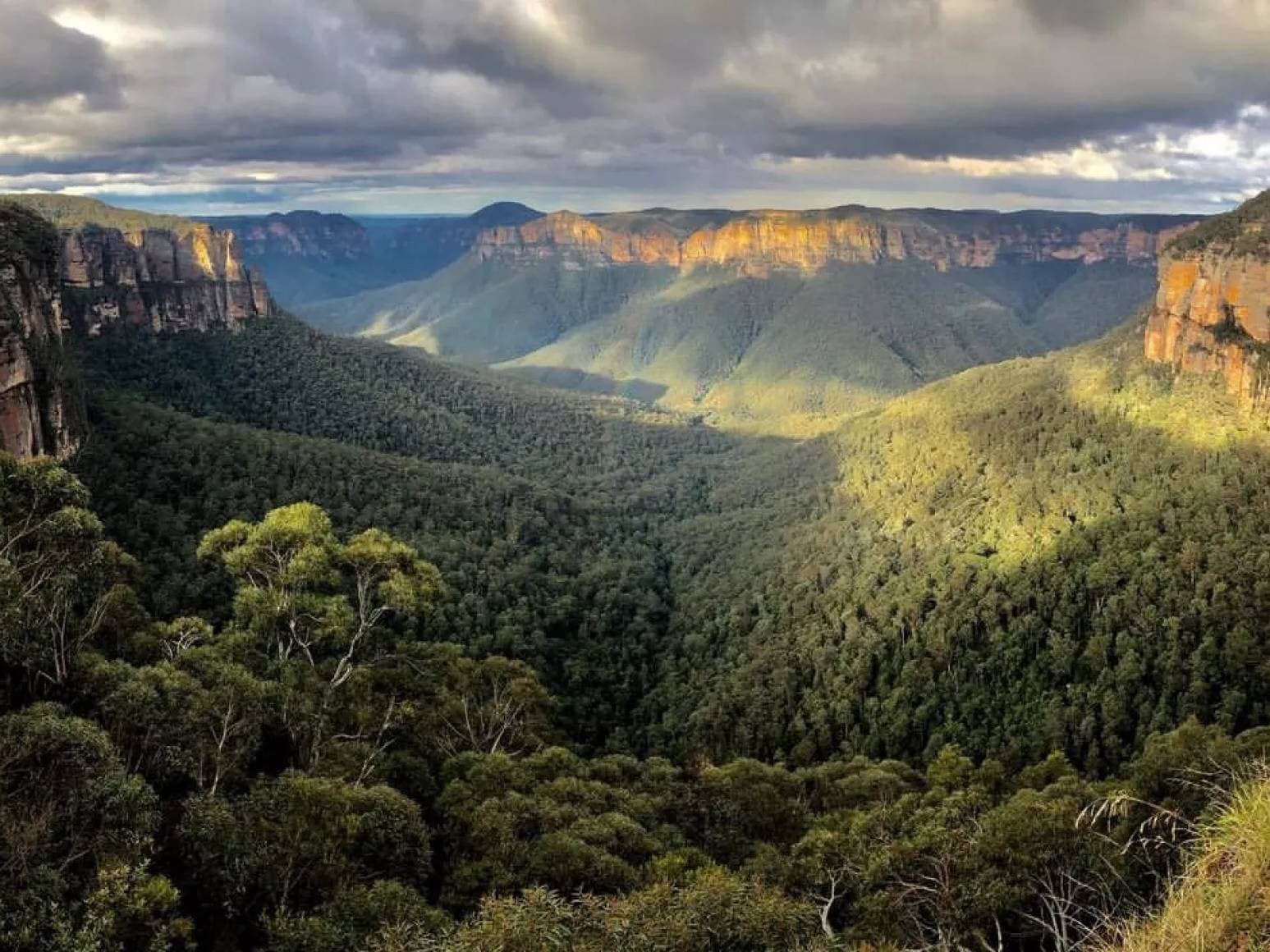 Private Blue Mountains Eco Tour