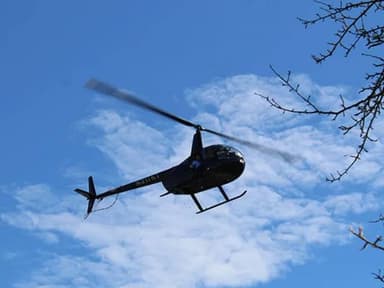 Private Helicopter Ride Detroit, South Suburbs - 20 Minutes — photo 2