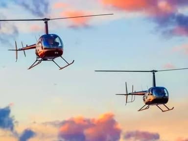 Private Helicopter Tour Atlanta, Six Flags & Sweetwater Creek — photo 1