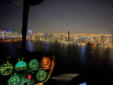 Private Helicopter Tour: Lauderdale -Everglades -Miami Beach — photo 3