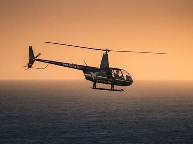 Private Helicopter Tour of Beaches & Downtown Los Angeles from Long Beach — photo 1