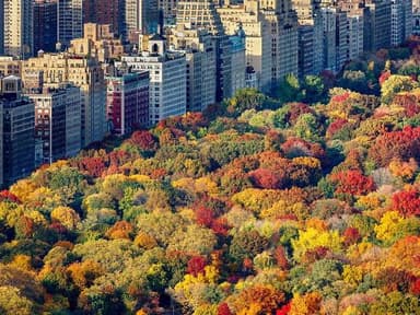 Private Hudson Valley Fall Foliage Helicopter Tour from Manhattan — photo 2