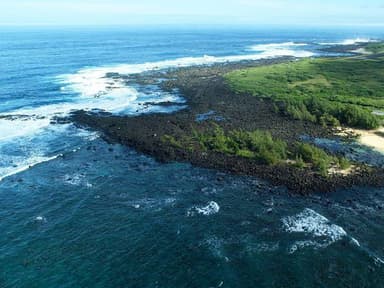 Private Moloka'i Sea Cliffs Helicopter Excursion from Lana'i — photo 4