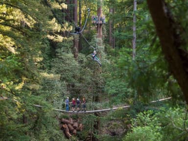 Redwood Canopy Tour — photo 1
