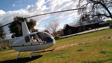 Sacramento Young’s Vineyard Helicopter Tour — photo 3